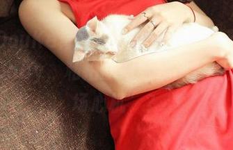QingDouKe青豆客 – 原图中的岑苑之barbiebaby，私拍的职业装能否成就“职场心机”？