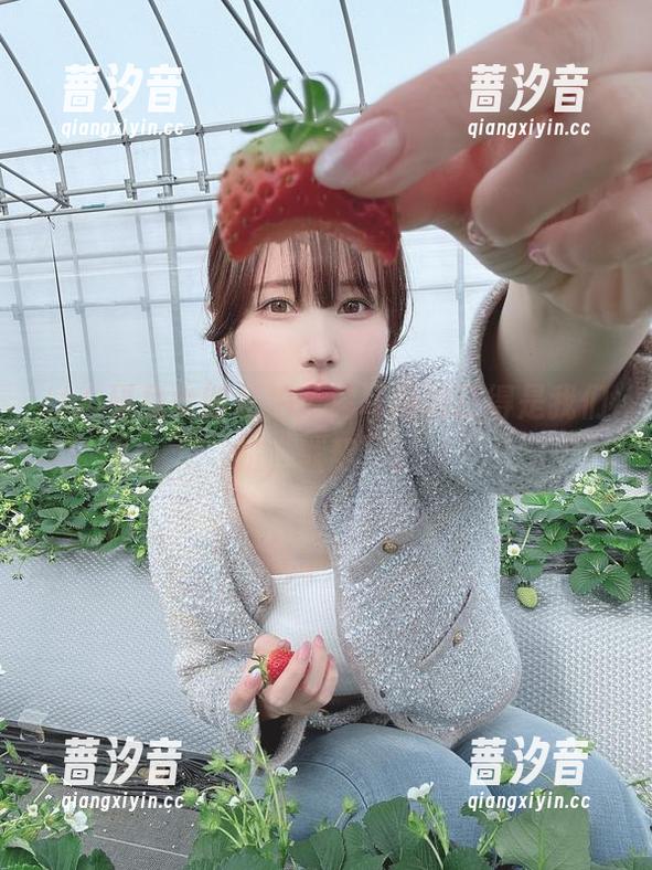 けん研兔女郎私拍，兔耳海绵还得是我们的“默契”。